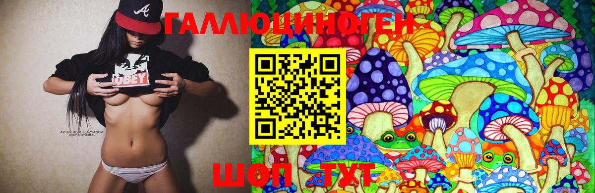 Галлюциногенные грибы Psilocybine cubensis Ростов-на-Дону