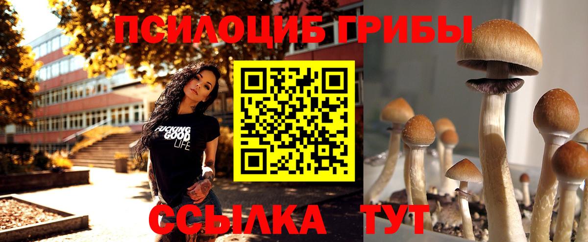 купить наркотики сайты  Псилоцибиновые грибы Psilocybe  Вход с VPN  Ростов-на-Дону  Галлюциногенные грибы Magic Shrooms 